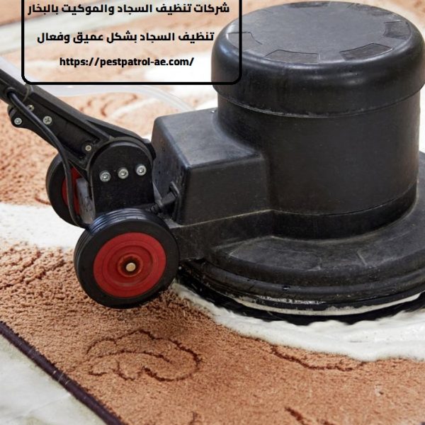 شركة تنظيف سجاد في العين