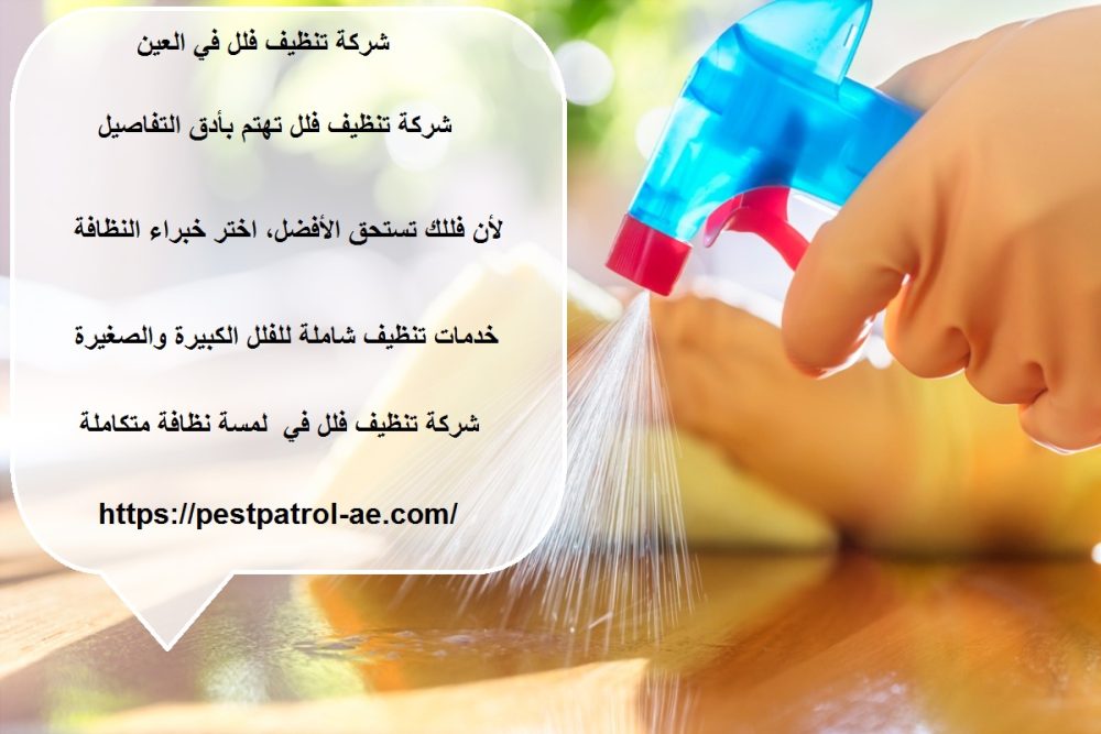 شركة تنظيف فلل في العين