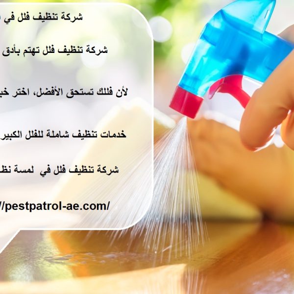 شركة تنظيف فلل في العين