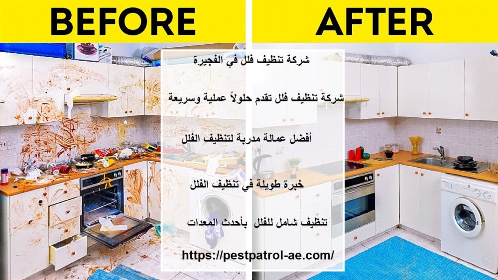 شركة تنظيف فلل في الفجيرة