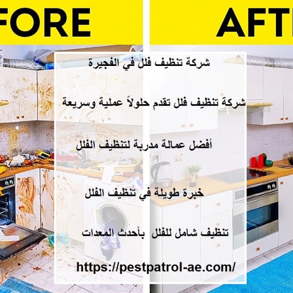 شركة تنظيف فلل في الفجيرة
