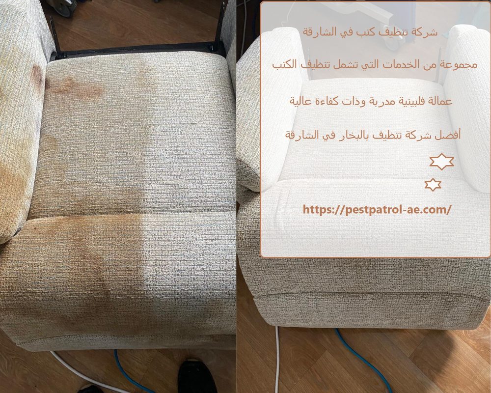 شركة تنظيف كنب في الشارقة