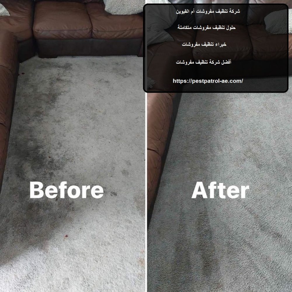 شركة تنظيف مفروشات أم القيوين