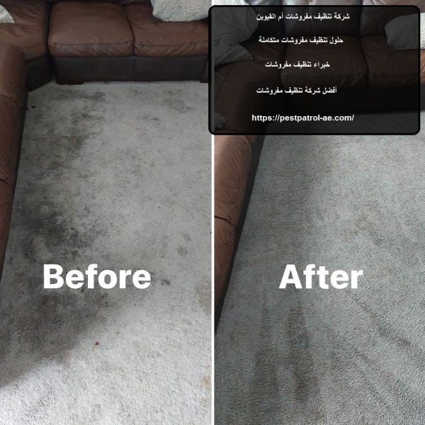 شركة تنظيف مفروشات أم القيوين