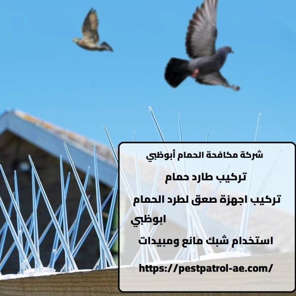 شركة مكافحة الحمام أبوظبي