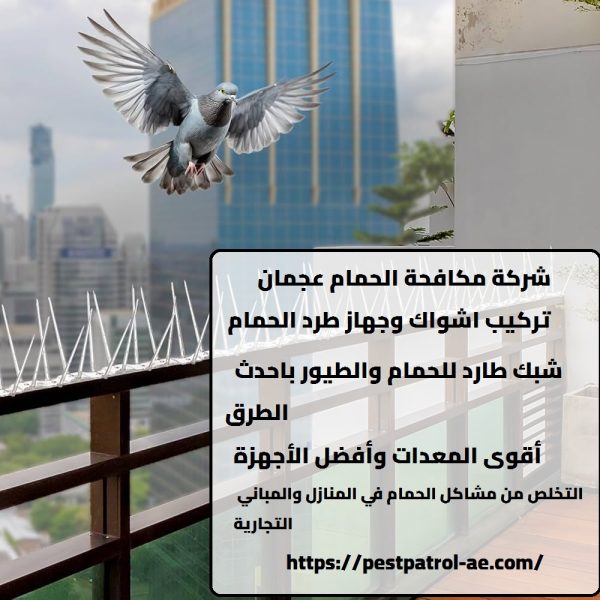 شركة مكافحة الحمام عجمان