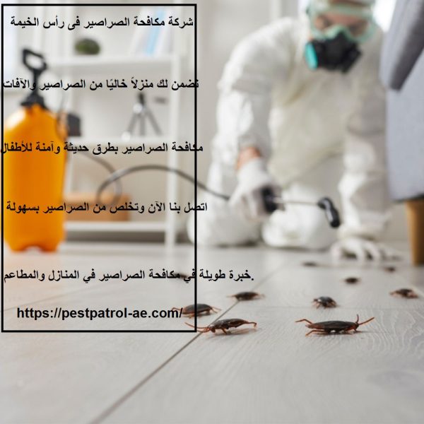شركة مكافحة الصراصير فى رأس الخيمة