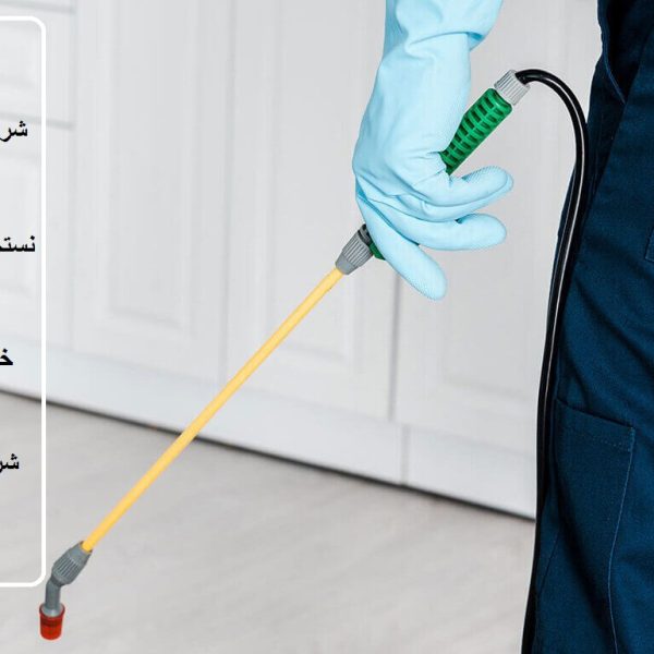 شركة مكافحة الصراصير فى أم القيوين