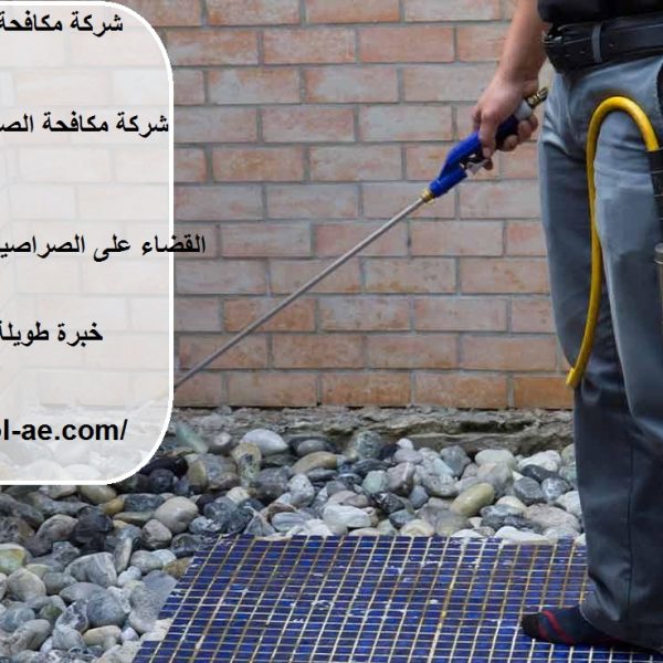 شركة مكافحة الصراصير في الفجيرة