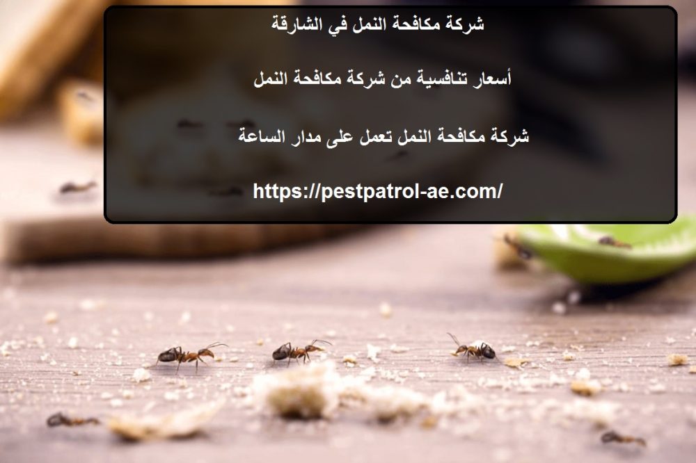 شركة مكافحة النمل في الشارقة