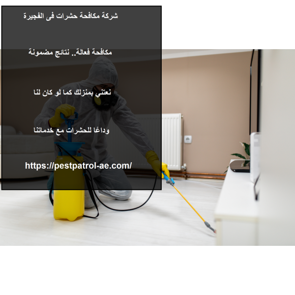 شركة مكافحة حشرات فى الفجيرة