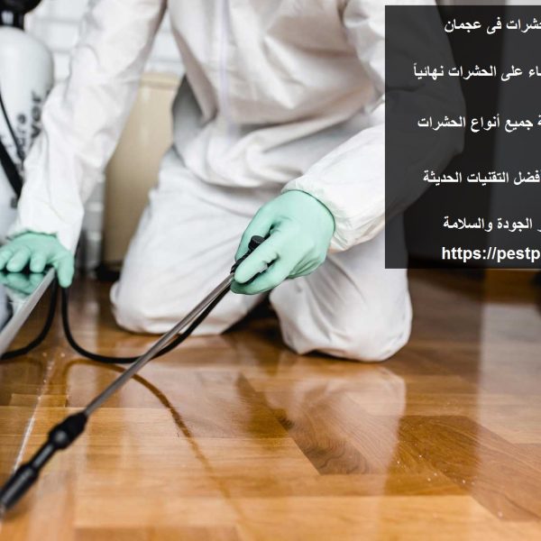 شركة مكافحة حشرات فى عجمان
