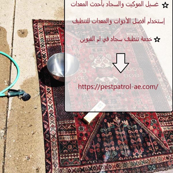 غسيل سجاد في ام القيوين