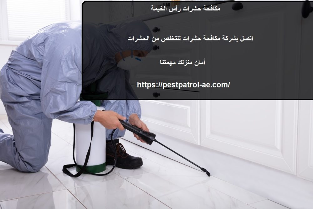 شركة مكافحة حشرات فى رأس الخيمة