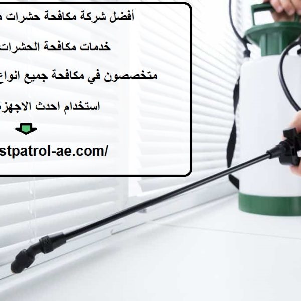 أفضل شركة مكافحة حشرات مضمونة في الشارقة