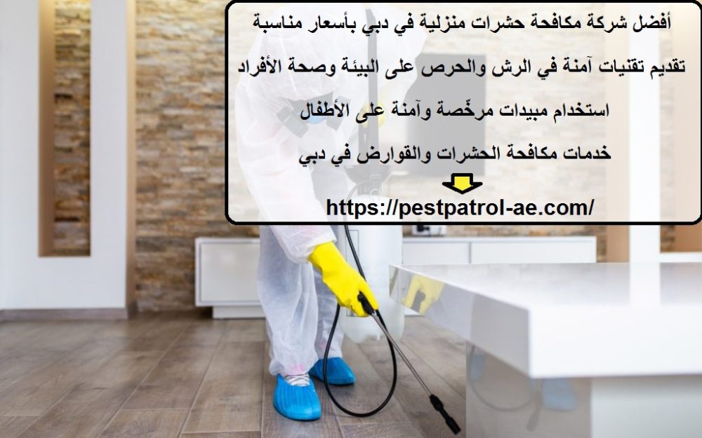 أفضل شركة مكافحة حشرات منزلية في دبي بأسعار مناسبة