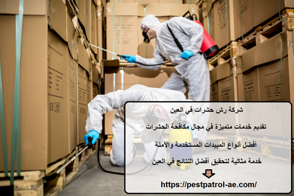 شركة رش حشرات في العين