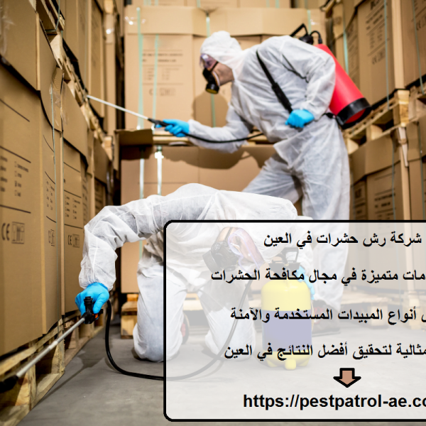 شركة رش حشرات في العين