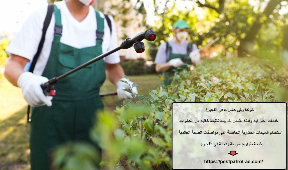 شركة رش حشرات في الفجيرة