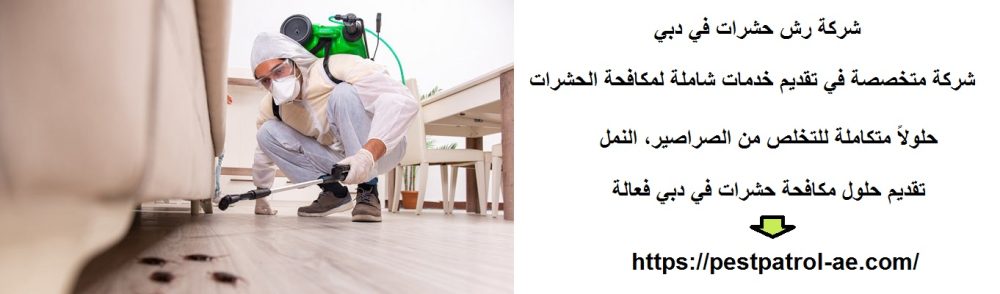 شركة رش حشرات في دبي