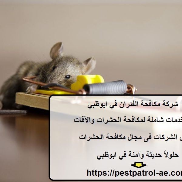 شركة مكافحة الفئران في ابوظبي