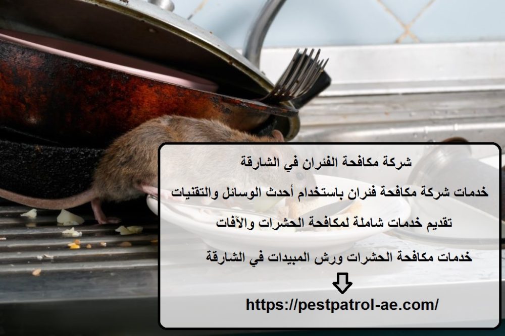 شركة مكافحة الفئران في الشارقة