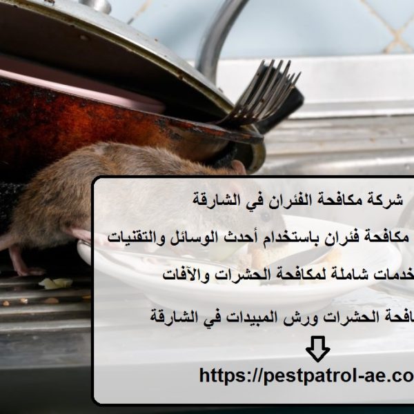 شركة مكافحة الفئران في الشارقة