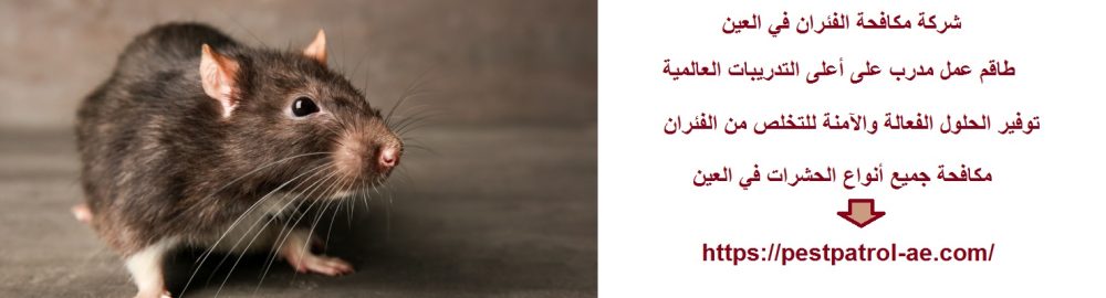 شركة مكافحة الفئران في العين