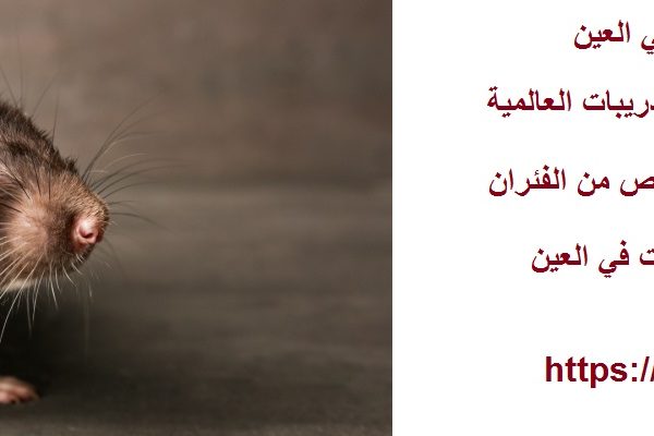 شركة مكافحة الفئران في العين