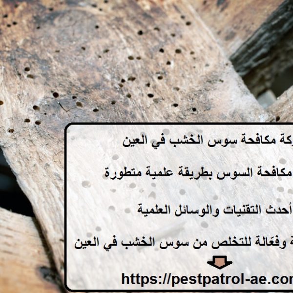 شركة مكافحة سوس الخشب في العين