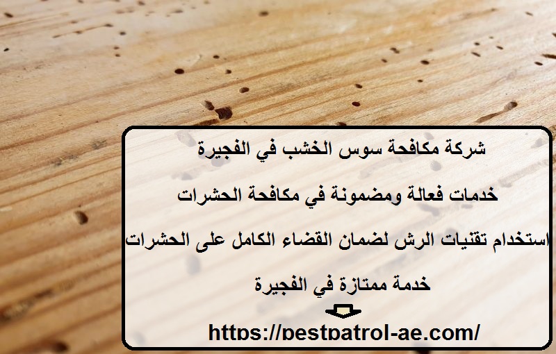 شركة مكافحة سوس الخشب في الفجيرة