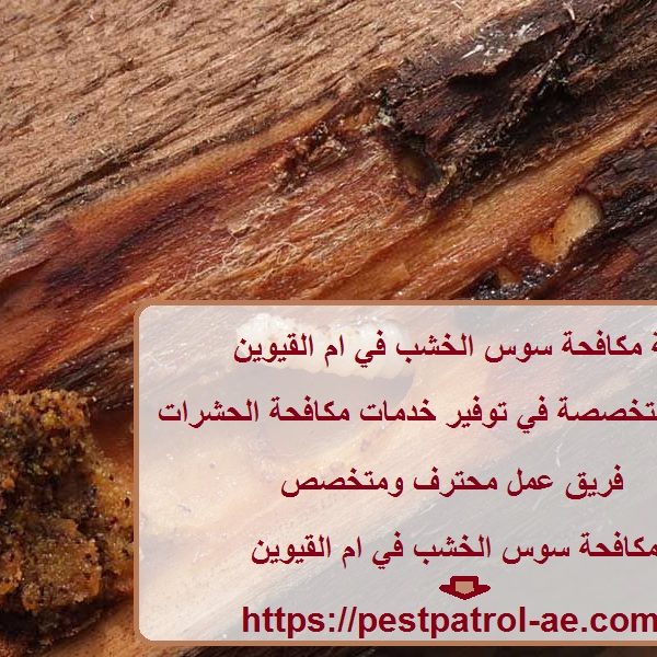 شركة مكافحة سوس الخشب في ام القيوين