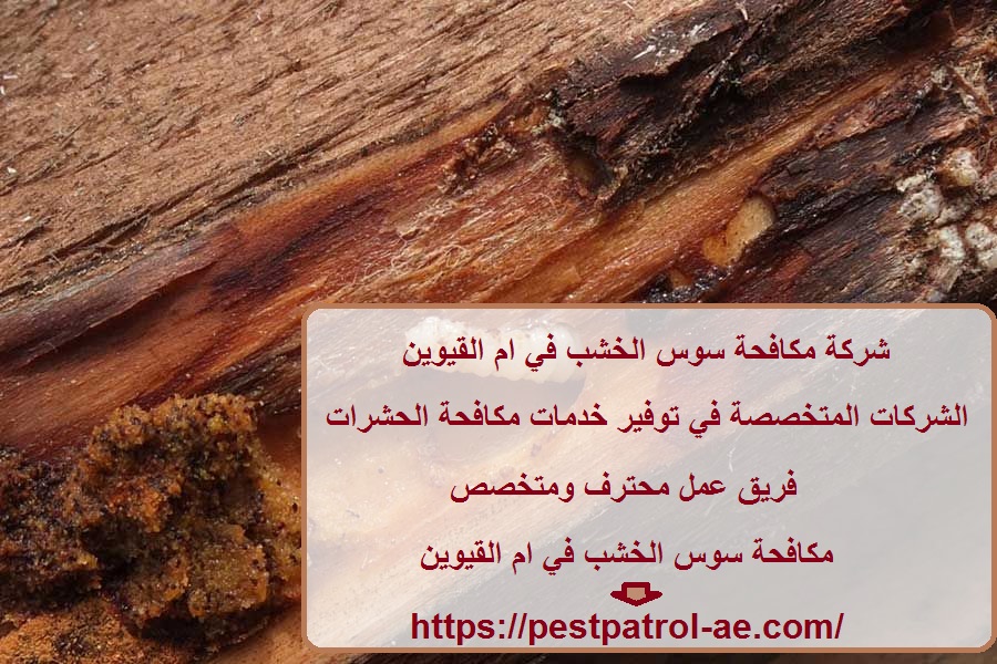 شركة مكافحة سوس الخشب في ام القيوين