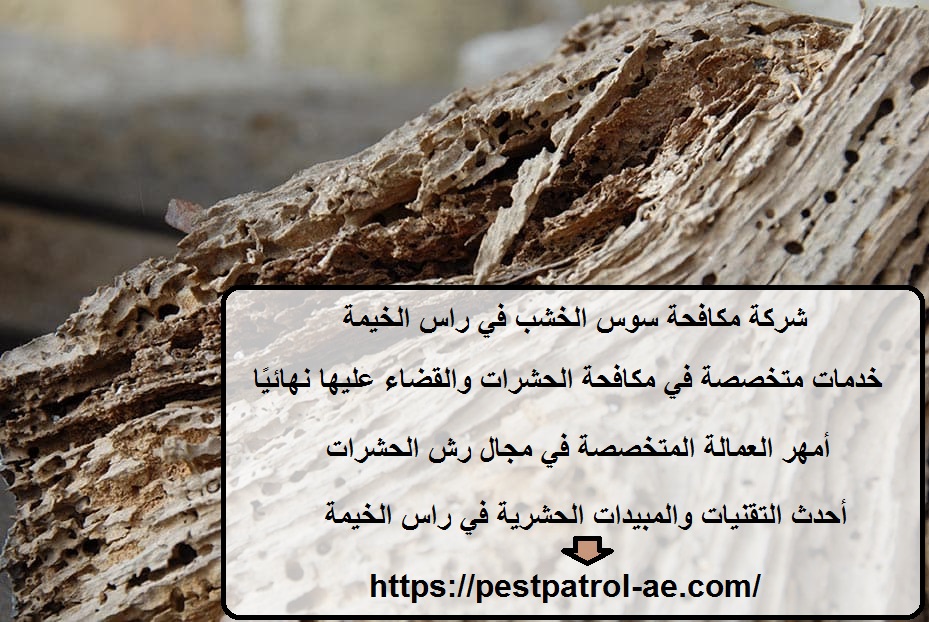 شركة مكافحة سوس الخشب في راس الخيمة